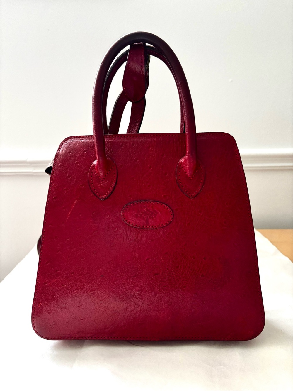 RARE Vintage Mulberry Red Ostrich Leather Bag/ Backpack